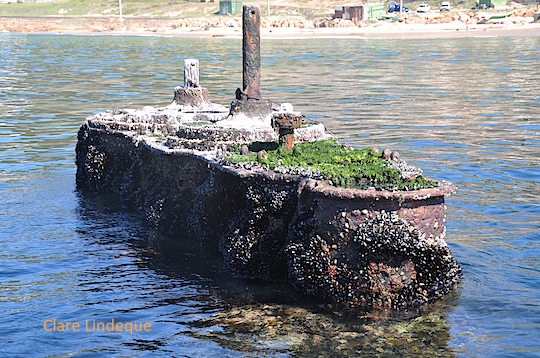 SS Clan Stuart Wreck